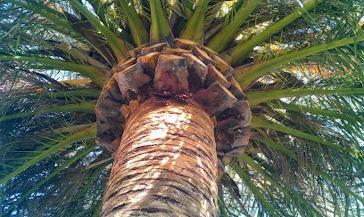 PropertyServices66.com, Société de Gestion Immobilière à Saint-Cyprien