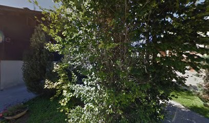 Morzine Project Management, Société de Gestion Immobilière à Morzine