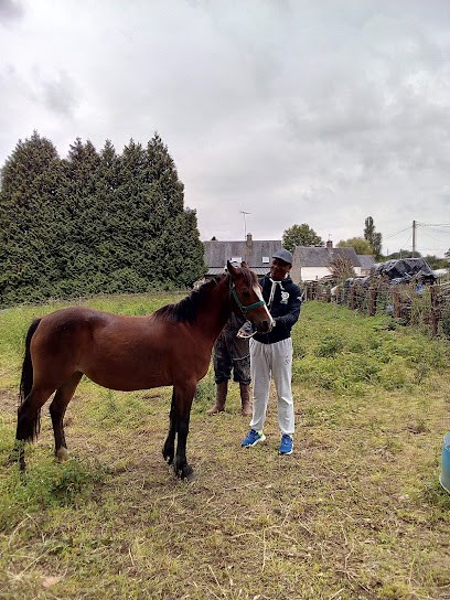 Jouenne Bernard, Société de Gestion Immobilière à Lolif